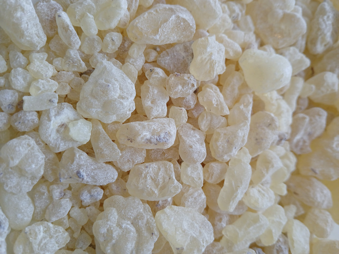 Authentic Somali Resin Online, Buy Somali Frankincense & Myrrh, Premium Somali Resins for Sale, 100% Pure Somali Frankincense Resin, High-Quality Myrrh Resin from Somalia, Organic Somali Incense & Resins, Order Somali Resin Online with Fast Shipping, Wholesale Somali Frankincense Supplier, Buy Direct from Somali Resin Farmers, Trusted Somali Resin Store Near me, Affordable Somali Frankincense Bulk Deals, Handpicked & Sustainably Sourced Somali Resins, Somali Resin