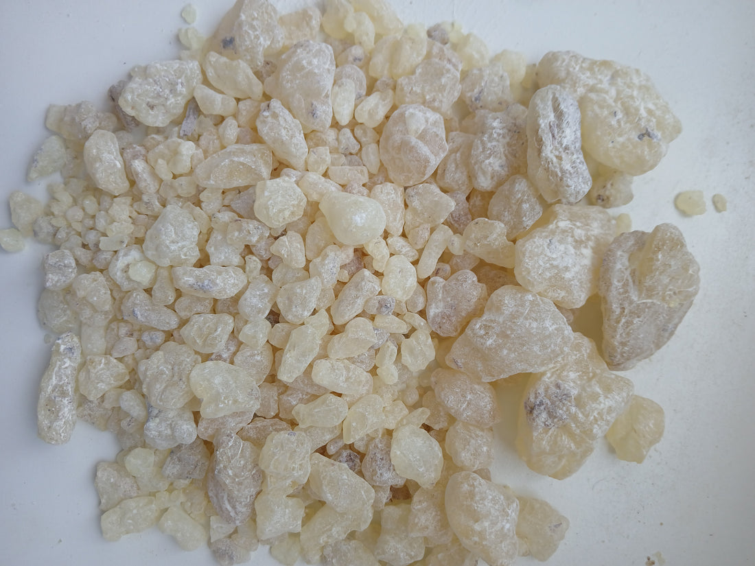 Authentic Somali Resin Online, Buy Somali Frankincense & Myrrh, Premium Somali Resins for Sale, 100% Pure Somali Frankincense Resin, High-Quality Myrrh Resin from Somalia, Organic Somali Incense & Resins, Order Somali Resin Online with Fast Shipping, Wholesale Somali Frankincense Supplier, Buy Direct from Somali Resin Farmers, Trusted Somali Resin Store Near me, Affordable Somali Frankincense Bulk Deals, Handpicked & Sustainably Sourced Somali Resins, Somali Resin