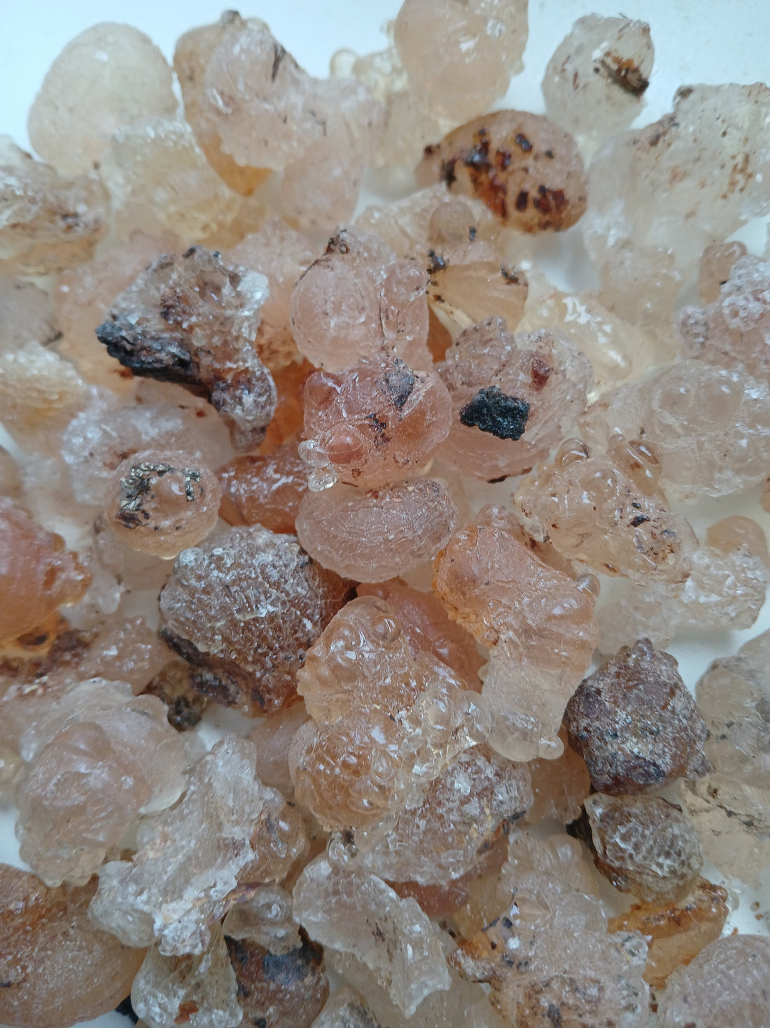 Authentic Somali Resin Online, Buy Somali Frankincense & Myrrh, Premium Somali Resins for Sale, 100% Pure Somali Frankincense Resin, High-Quality Myrrh Resin from Somalia, Organic Somali Incense & Resins, Order Somali Resin Online with Fast Shipping, Wholesale Somali Frankincense Supplier, Buy Direct from Somali Resin Farmers, Trusted Somali Resin Store Near me, Affordable Somali Frankincense Bulk Deals, Handpicked & Sustainably Sourced Somali Resins, Somali Resin